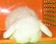 продам: Карликовые вислоухие крольчата от выставочных родителей - Москва и Подмосковье