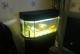 продам: Продам аквариум 150 литров с золотыми рыбками.... - Москва и Подмосковье